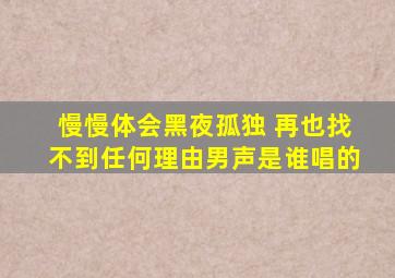 慢慢体会黑夜孤独 再也找不到任何理由男声是谁唱的